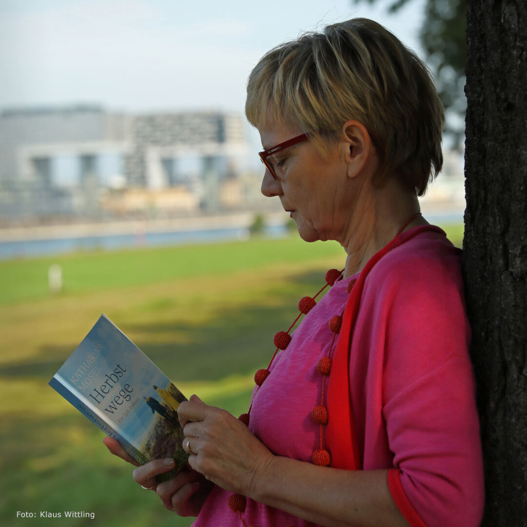 Storyanalyse.de - Schreibe deinen besten Roman. - Lektorat